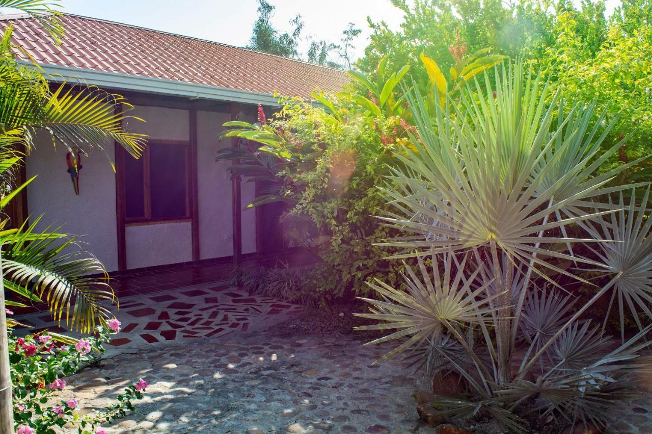 Hostal El Ruby Villavieja Zewnętrze zdjęcie